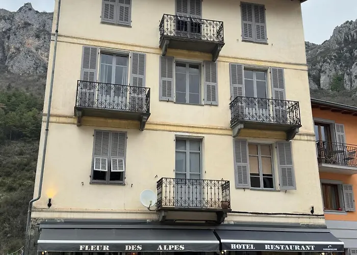 Hôtel Fleur des Alpes
